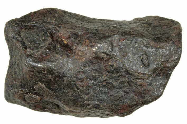 Canyon Diablo Iron Meteorite ( g) - Arizona #303486